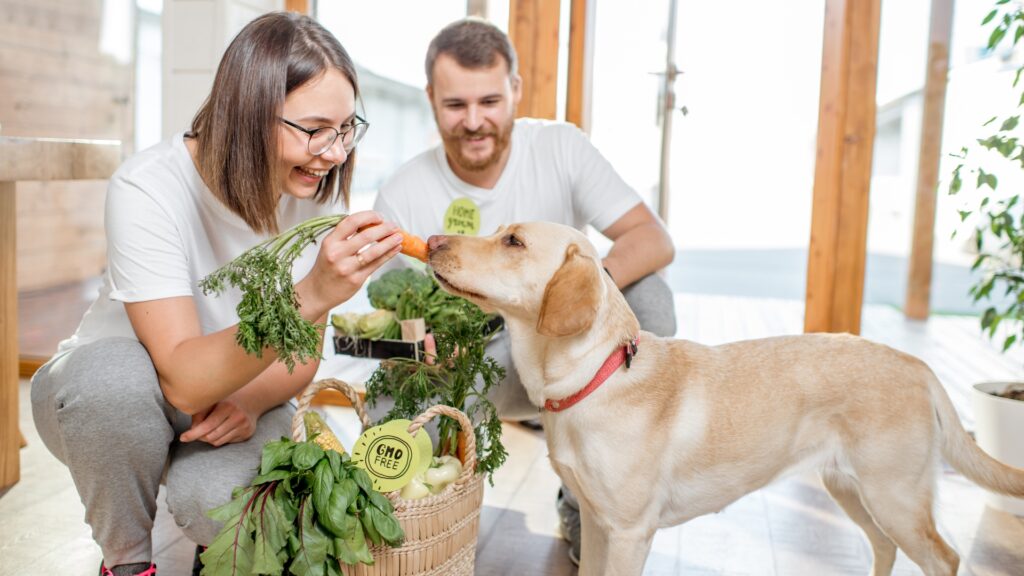 Organic Dog Food