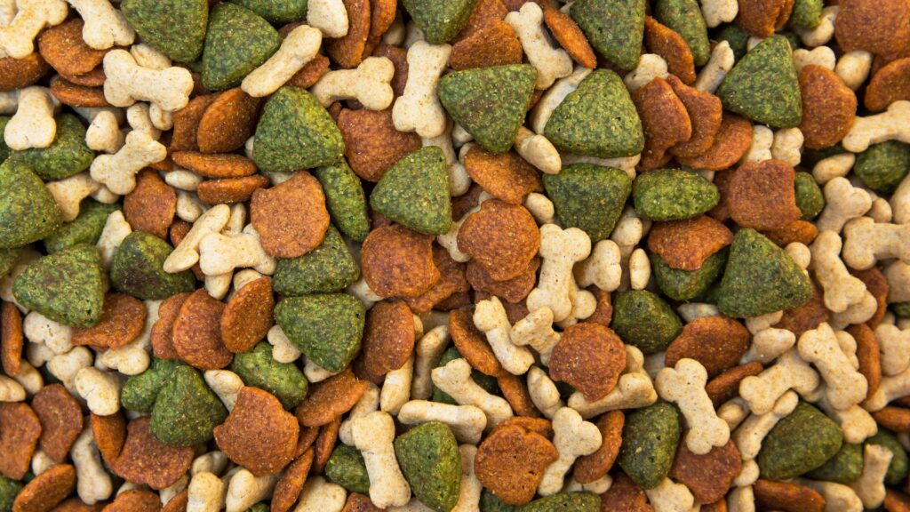 Organic Dog Food